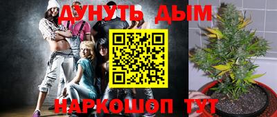 синтетический гашиш Кингисепп