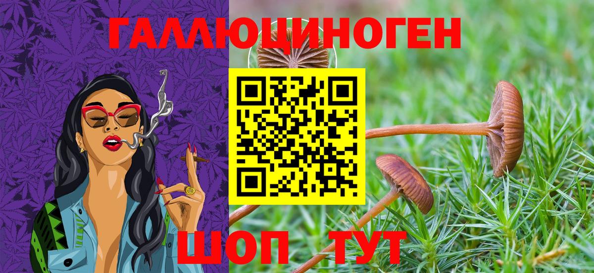 Псилоцибиновые грибы ЛСД Кстово