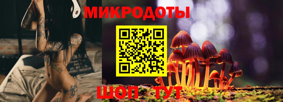 Псилоцибиновые грибы прущие грибы  Вход с VPN  Псилоцибиновые грибы Psilocybe  Кстово 
